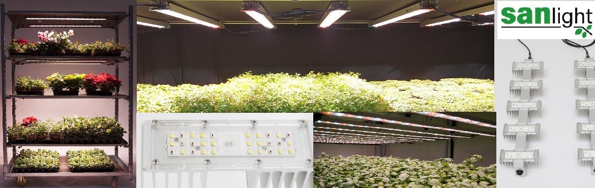 SANlight LED GROW LIGHTS Wholesale distributor Best Prices